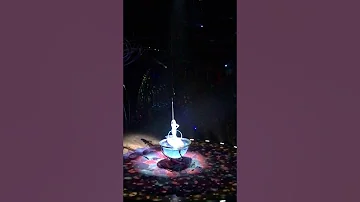 Cirque Du Soleil "Amaluna" at Royal Albert Hall, London
