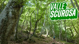 Valle Scurosa: alla scoperta della Fonte del Sepolcro - trekking Sefro (Macerata)