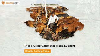 Haribhai Needs Your Support To Look After 300+ Gauvansh Resimi