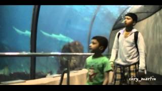 ... (few hours in la aquarium barcelona spain - family outing) by
chry_martin martin varghese)
