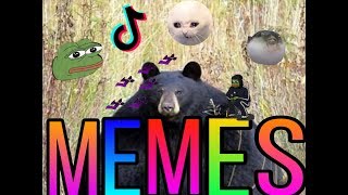 BEST MEMES COMPILATION 2020 V5