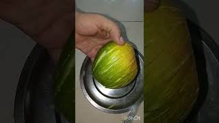 raw mango cutting 😋😋😋😋shorts #subscribe 🙏🙏🙏🙏