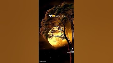القران الكريم #المصحف #explore #اكسبلور #الرحمن #القرآن_الكريم