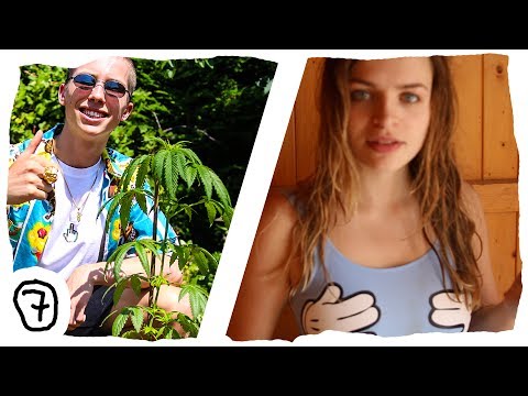 Video: Kun je pecannoten planten in de zomer?