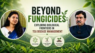 Beyond Fungicides: Exploring Biological Frontiers in Tea Disease Management (Tea Time, Ep 37)