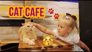 супер настя! БЛОГ! кафе с кошками! cat cafe! СЕУЛ! метро Сеула! супер настя! БЛОГ! кафе с кошками! cat cafe! СЕУЛ! метро Сеула!
