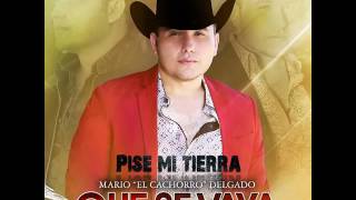 "PISE MI TIERRA" MARIO EL CACHORRO DELGADO - 2016 chords