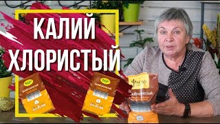 Зачем Нужен Калий Хлористый ✔️ Калийные удобрения в Саду