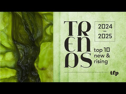 Top 10 New & Rising for 2024/25