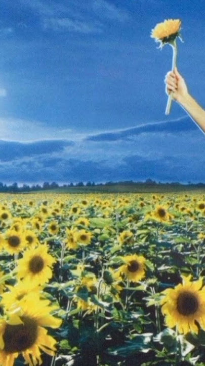 Creep : Stone Temple Pilots 1992 ... #stonetemplepilots