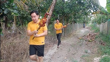 Gà nướng mật ong cúng ông bà ngày 28 tết