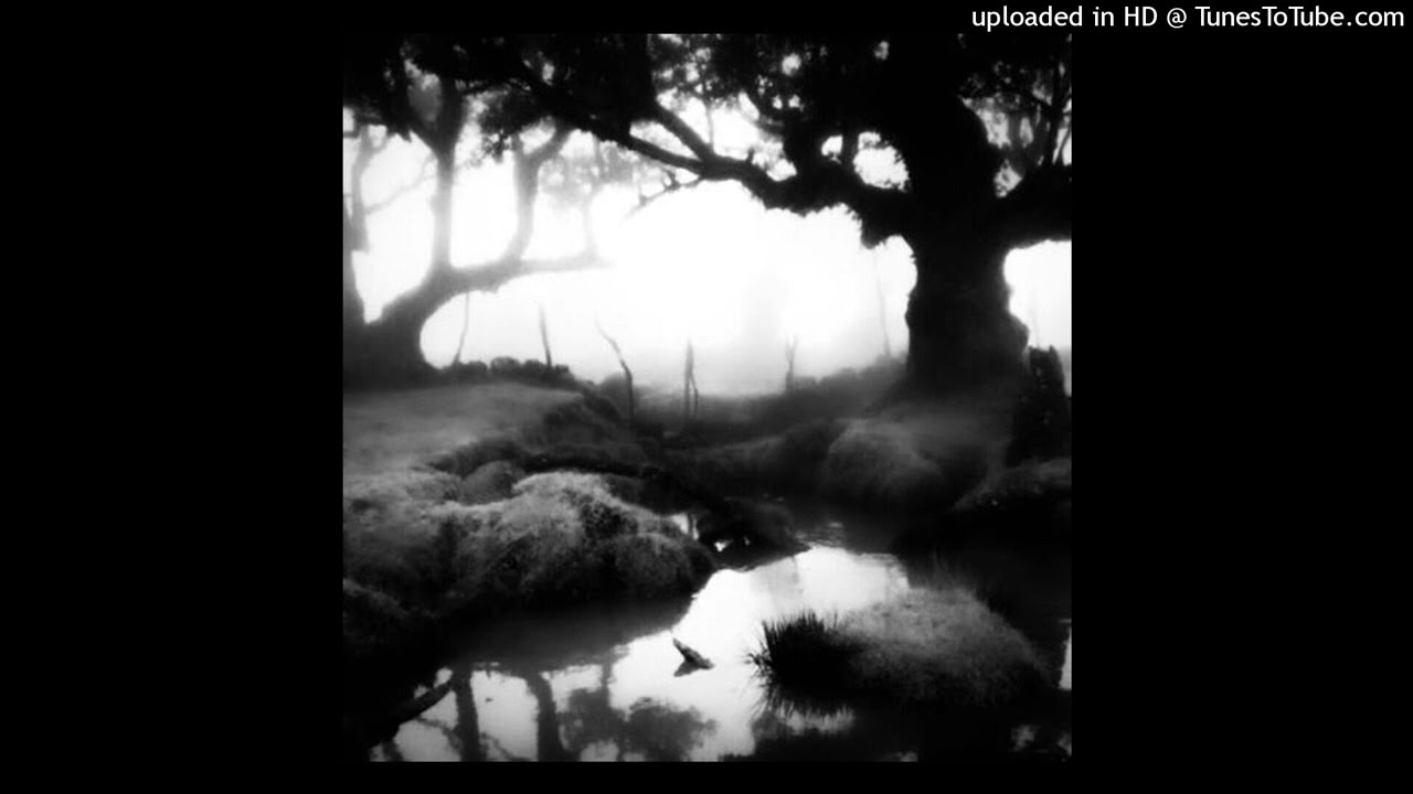 CHOPPA SPARK! ft. themiauto (PROD HICARTEL)