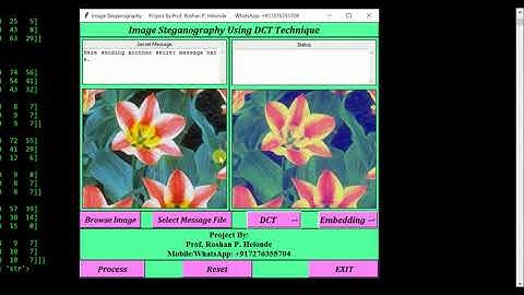 DCT Based Image Steganography Using Python Project Source Code | IEEE Based Project