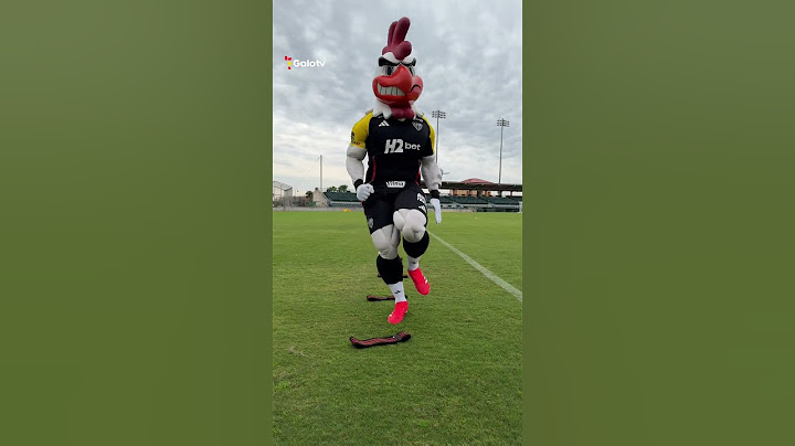 POV: UM DIA COM O GALO DOIDO EM ORLANDO! 🐔🤣