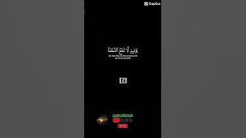 أجمل تلاوة: الصوت الذي يبحث عنه الجميع
