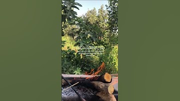 #اجمل_تلاوة_بالعالم تلاوة من سورة الأحزاب قارئ #سلمان_العتيبي