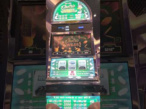 Weekly News Round-Up (December 30 - January 5) | Casino Guru News
