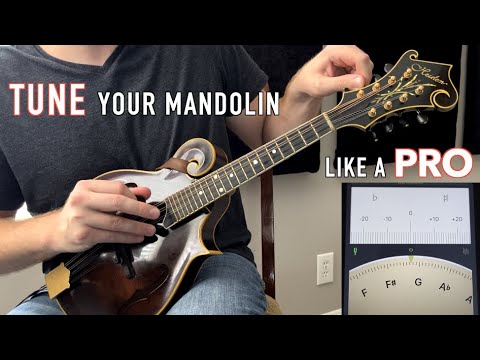 Making Your Mandolin Sound Like A Ukulele: Add A New Dimension Your Playing! |