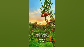 سورة الطور قرآن كريم بصوت خاشع #اكسبلور #قران_كريم #المصحف #viral