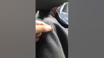 My first time trying nerds gummy clusters