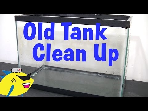 How to Clean up an Old Aquarium - YouTube