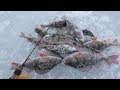Ловля окуня зимой на блесну " ВАУЧЕР ". Зимняя рыбалка 2018