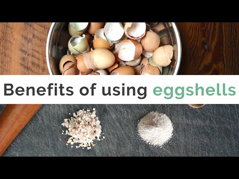 Let's Make Eggshell Powder - beneficial as a nutritional supplement, for the garden, skin and