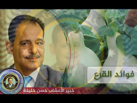 فوائد بذر القرع بذور اليقطين للبروستات غذاء ودواء مع خبير الاعشاب حسن خليفه رحمه الله تعالى