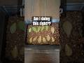 This doesn’t feel right #succulent #plants #foryou #fyp #advice