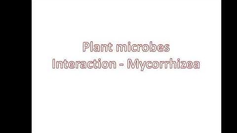 Lecture plant microbe interaction
