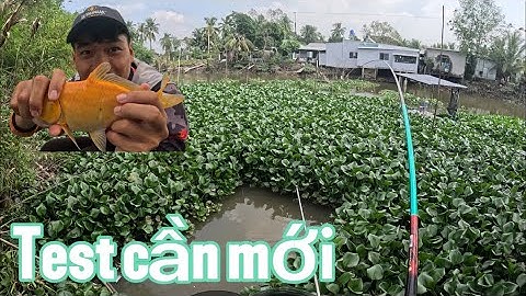 Câu đài ở bãi câu 20k tạp hoá diệu hiền, trải nghiệm cần câu Handing Nhẫn thế hệ 2 