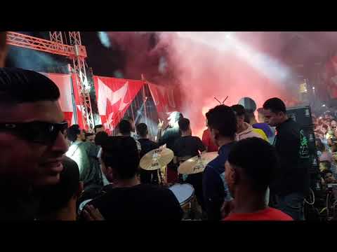 القطة المشمشيه عنبه ريشه كوستا وسماره اغاني افراح شعنبي2020