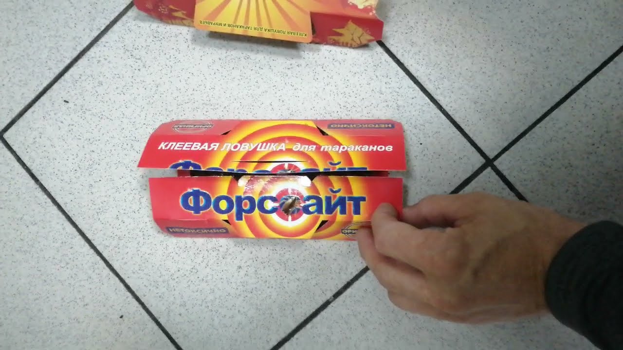 Ловушки для тараканов какие лучше, Форсайт, Камикадзе