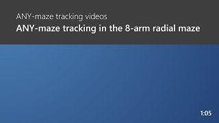 radial maze