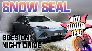 Snow Seal Goes on a Night Drive - with audio test