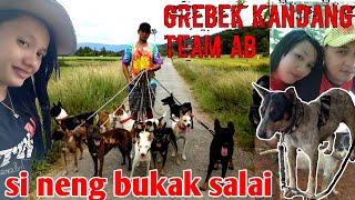 Si Neng Bukak Salai Adalah Anjing Terbaik Di Team Ab Dan Salah Satu Anjing Terbaik Di Sumbar