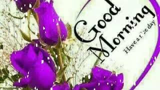 Good morning video songs full hd in telugu