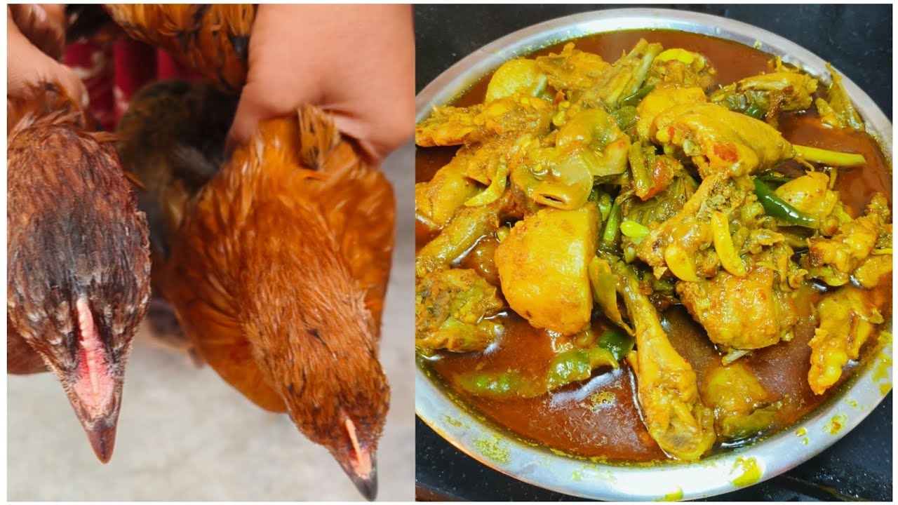 গ্রাম্য পদ্ধতিতে দেশি মুরগির মাংস রান্না। Desi Chicken Curry Recipe #cooking #recipe #viral #foryou