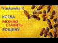 Пчёлы. Расширяем сушью. Вощиной рано. Признаки когда можно ставить вощину. #TruskawkaR