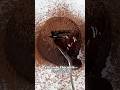 🍫Volcan de chocolate 🍫 #receta #recetasfaciles #postre #chocolate #chef