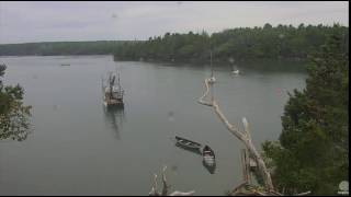 Fish dive! Hog Island Ospreys. 10.52 / 31 August 2016