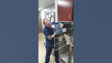 removing cat from uppr cage #2