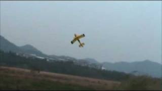 Peakmodel Ultimate Biplane with DL50