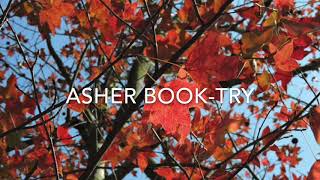 Video thumbnail of "Asher book-try中英字幕"