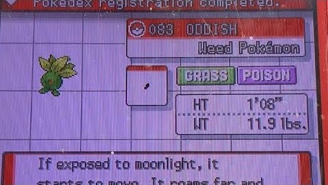 Shiny Oddish Random Encounters