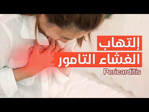 فيديو: 7 صحي القرع يعامل الكلب سوف الحب