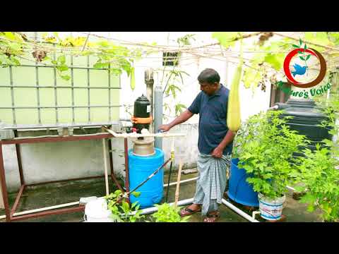 grow-your-own-food-ii-intensive-fish-farming-on-terrace