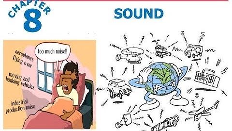 Class 4 Science Chapter 8 from STBB publisher book for PST and JEST Test preparation