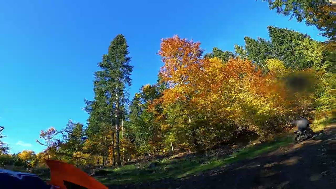 "Chill" Sunday? More like FULL GAS! 🔥 | Autumn Enduro | m1kesko