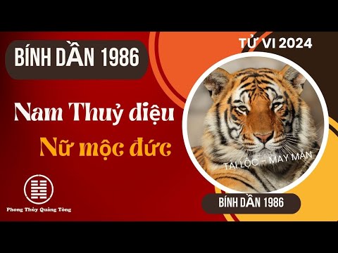 Phong Thủy Tuổi Dần 1986 Năm 2024: Những Dự Báo Và Tư Vấn Hữu Ích Cho Bạn